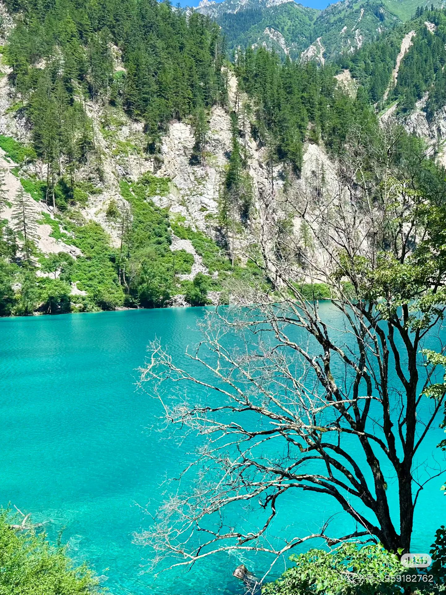 B47C43AC5F8262E07C8DBAC8513EF544