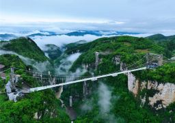 travel picture