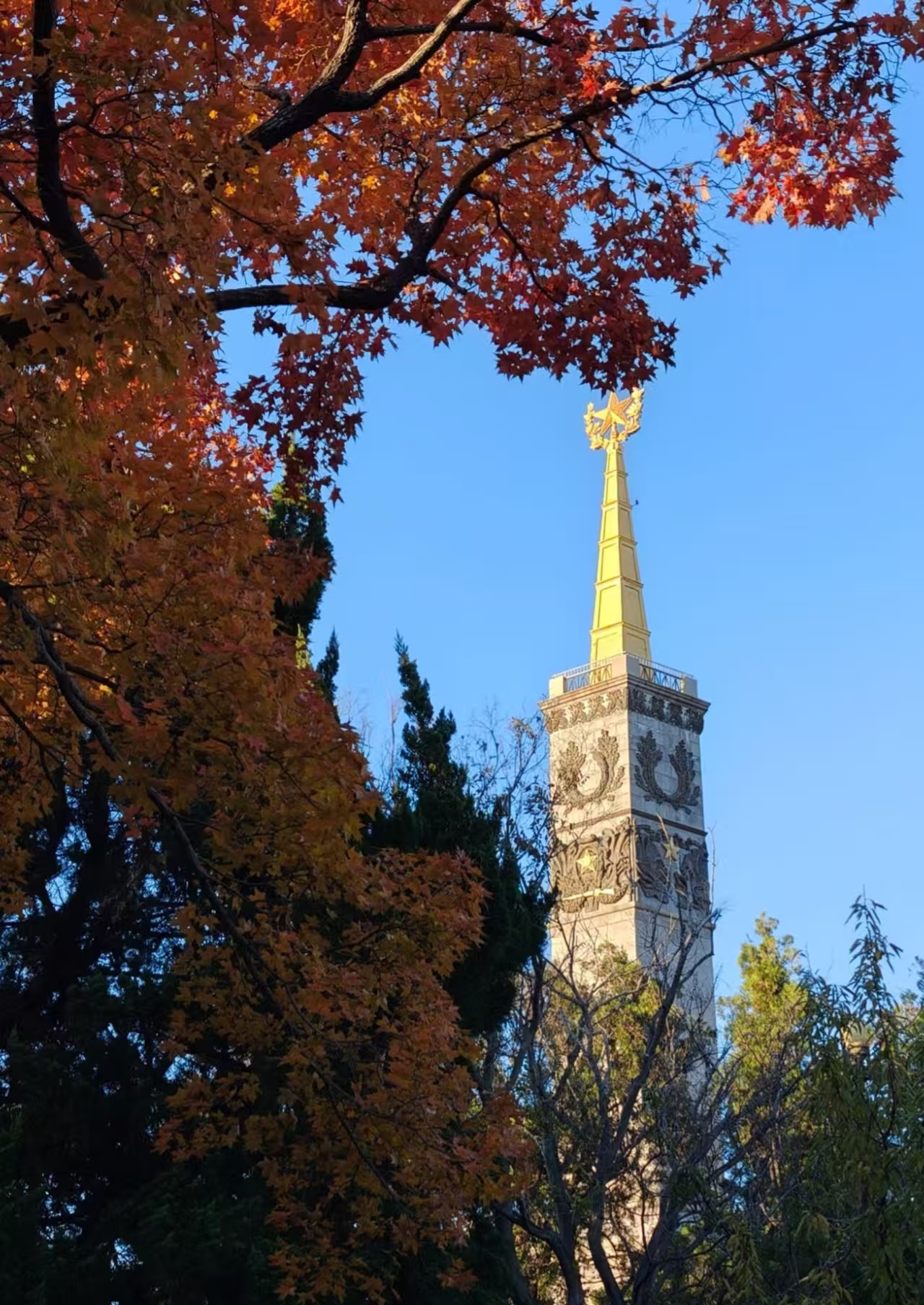 a99ded6aad836ebf23b6fbdfdbb7df91