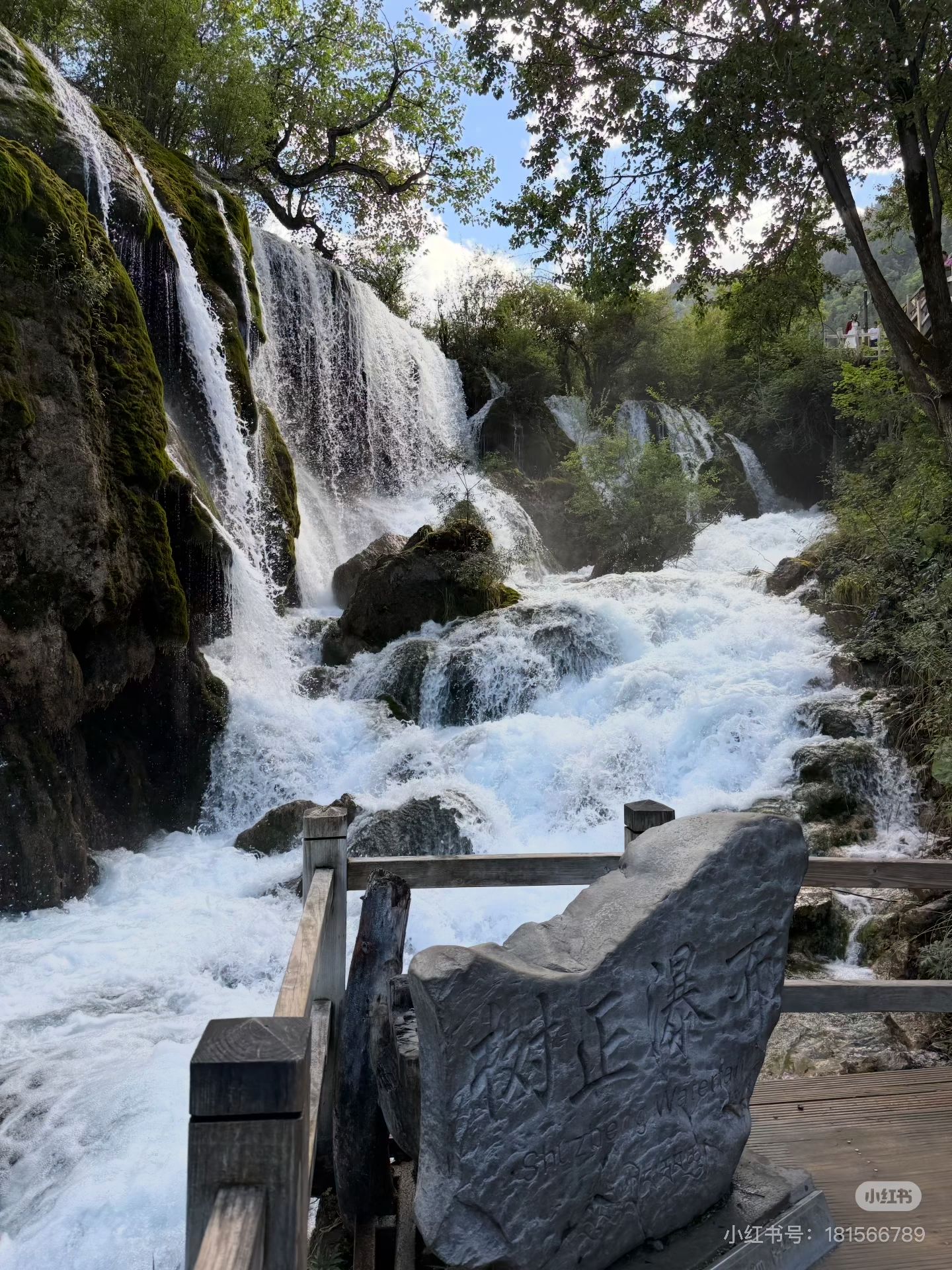 2CD8E34DB414683B06D9D00604767332