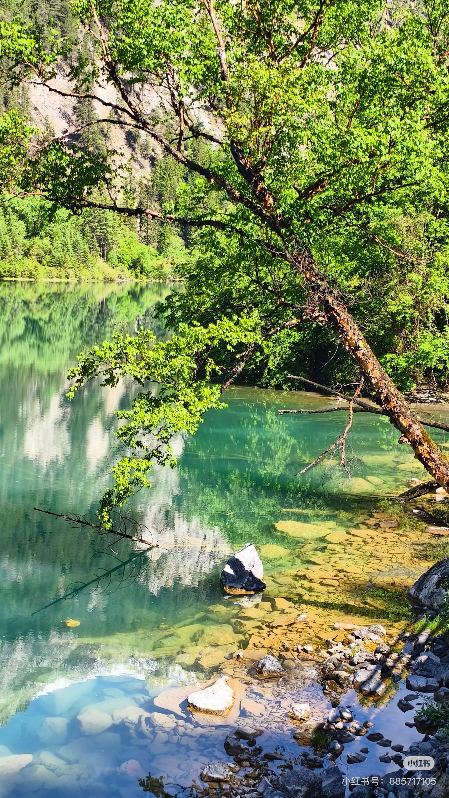 CF03F8FAE26608877316D10A5C9195D0