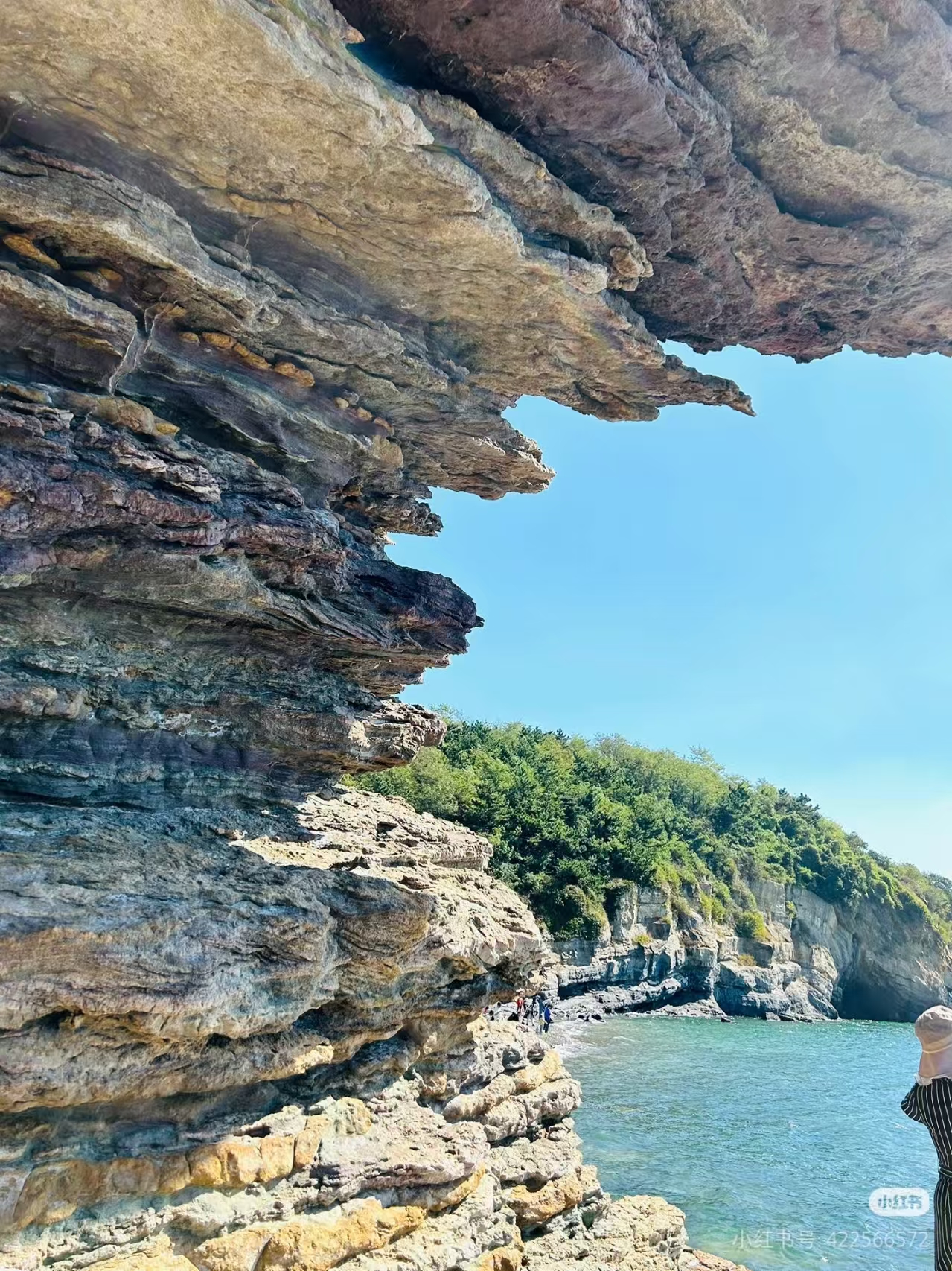 52ed12dc121c772204c2f371dada526b