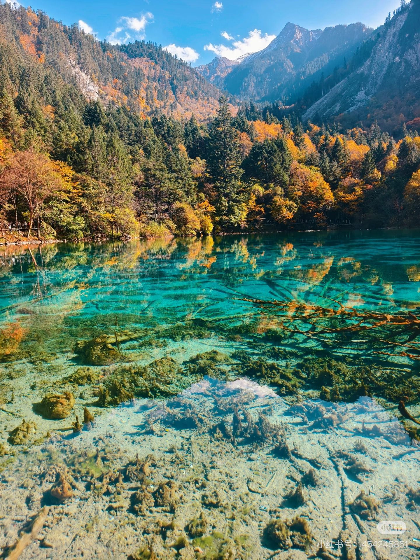 7E73A9FCAC27FDED18BCD3F6EE9D131C