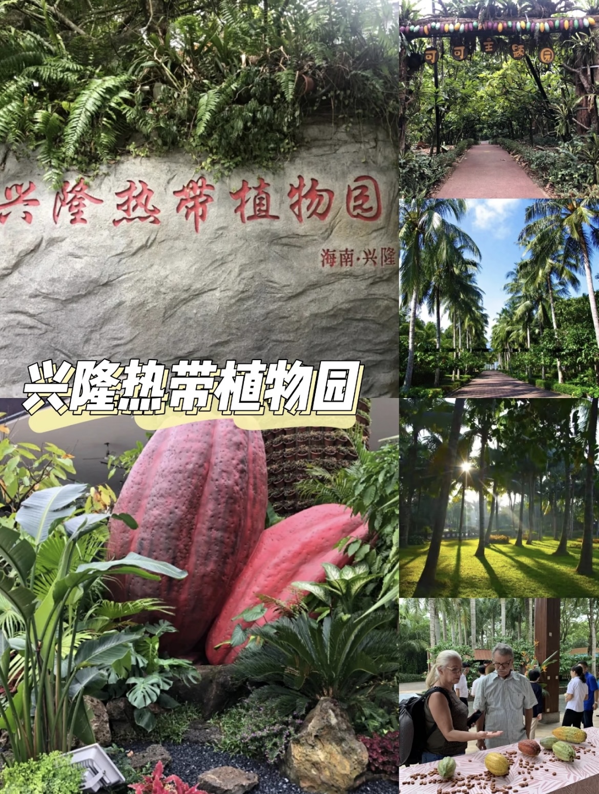 微信图片_20251109180042