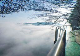 travel picture