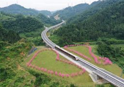 travel picture