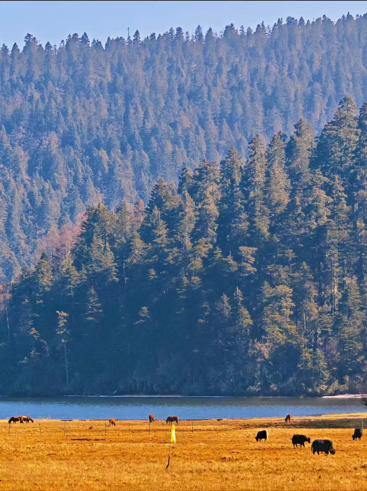 微信图片_20251029153641_27_1