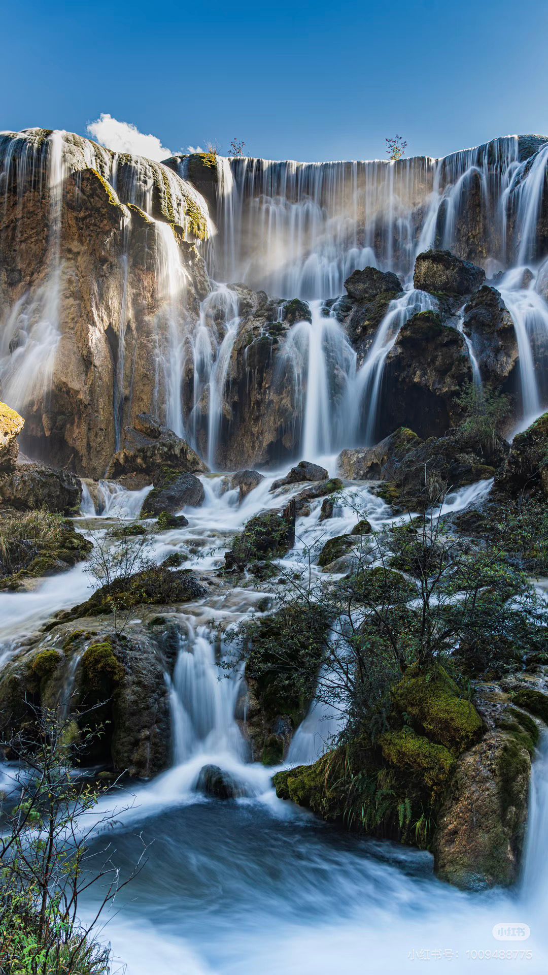 0827F78C319CCD21C11F83C5B04F4030