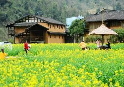 travel picture