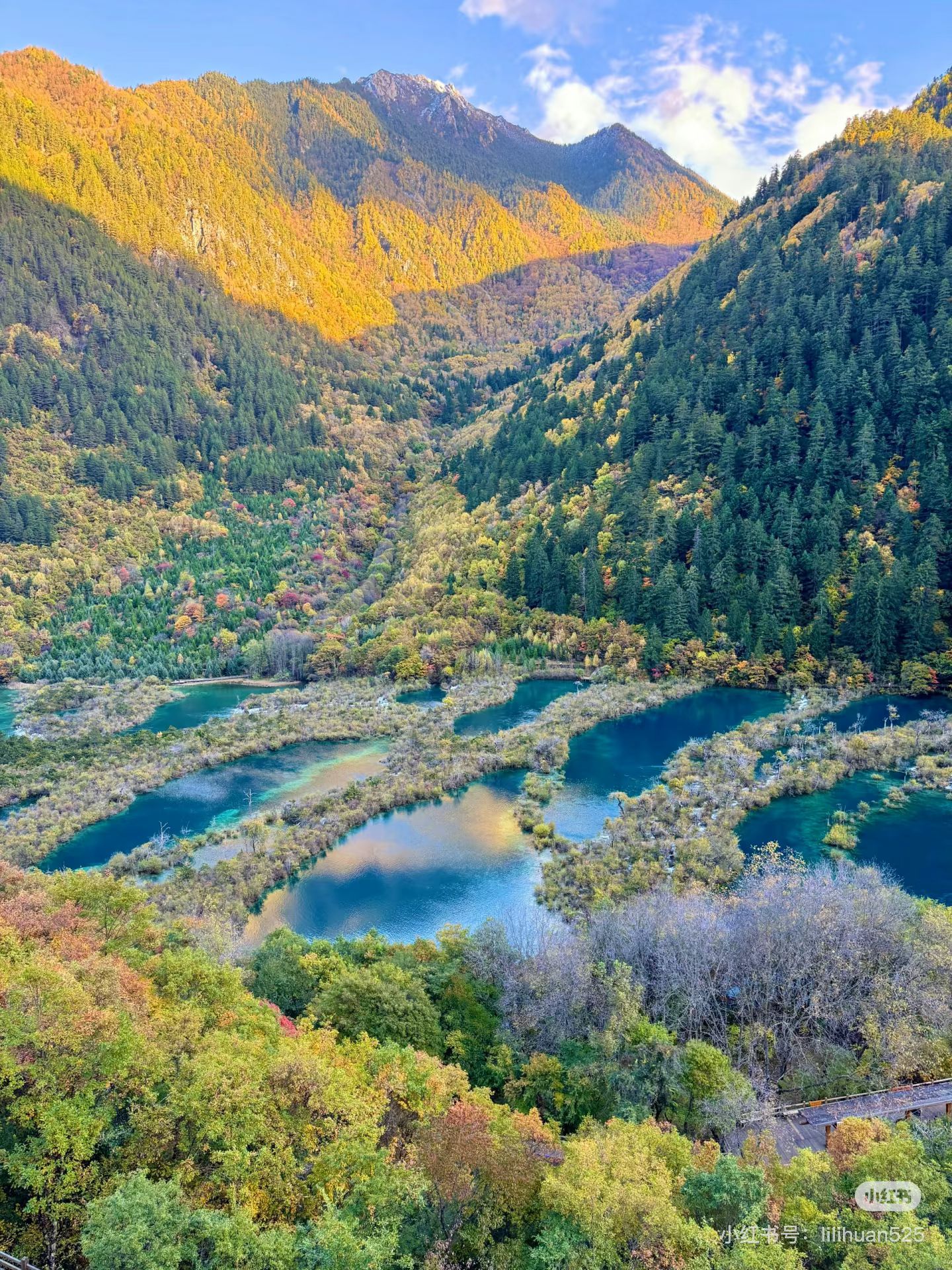 576ED7C2A6C5106908F6A74C92255F6F