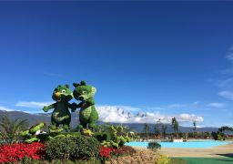 travel picture