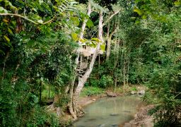 travel picture