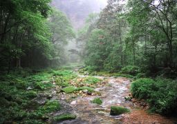 travel picture