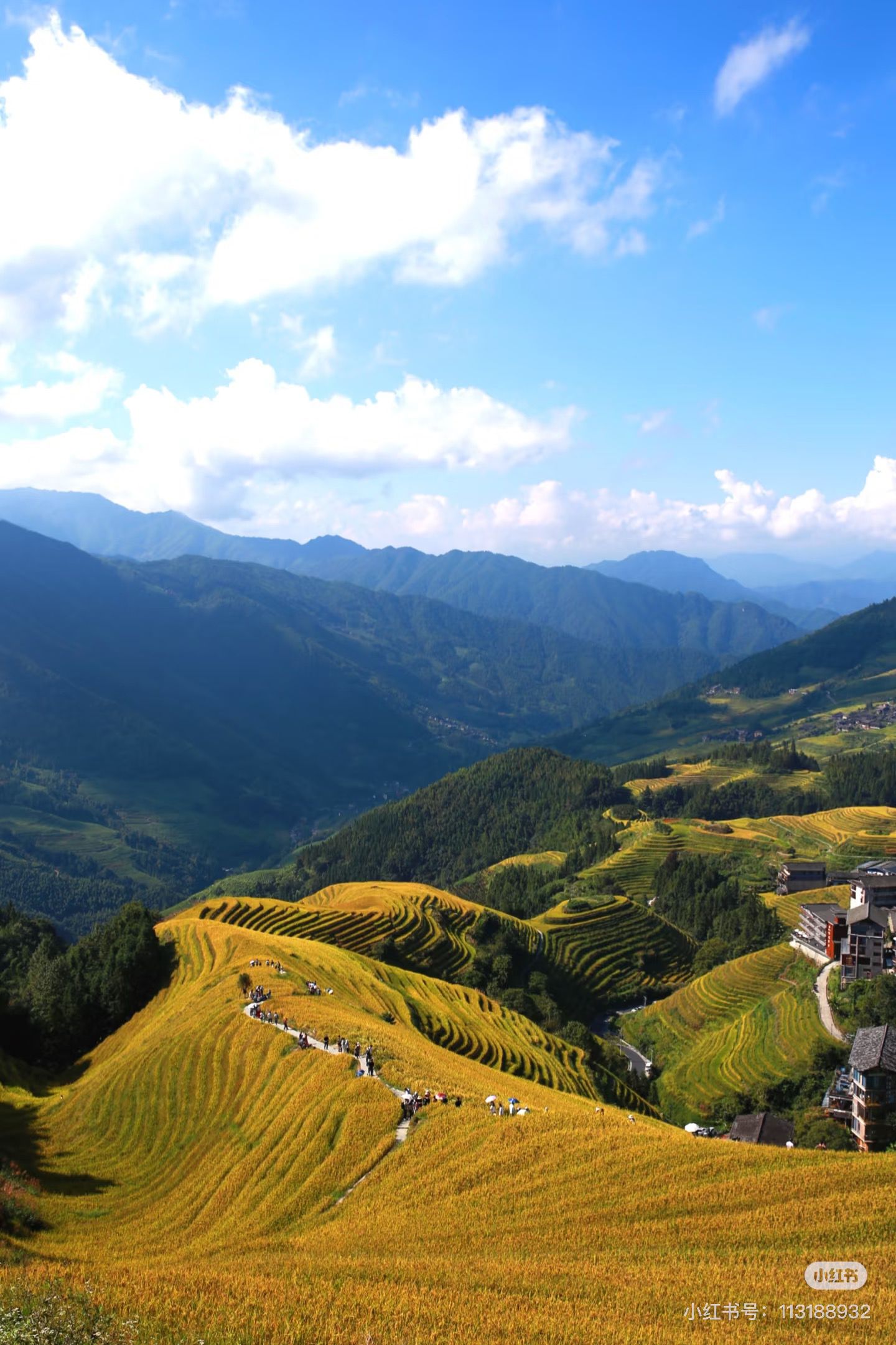 DF0E1C277ECBA1C585CD221EA0BCA0E4