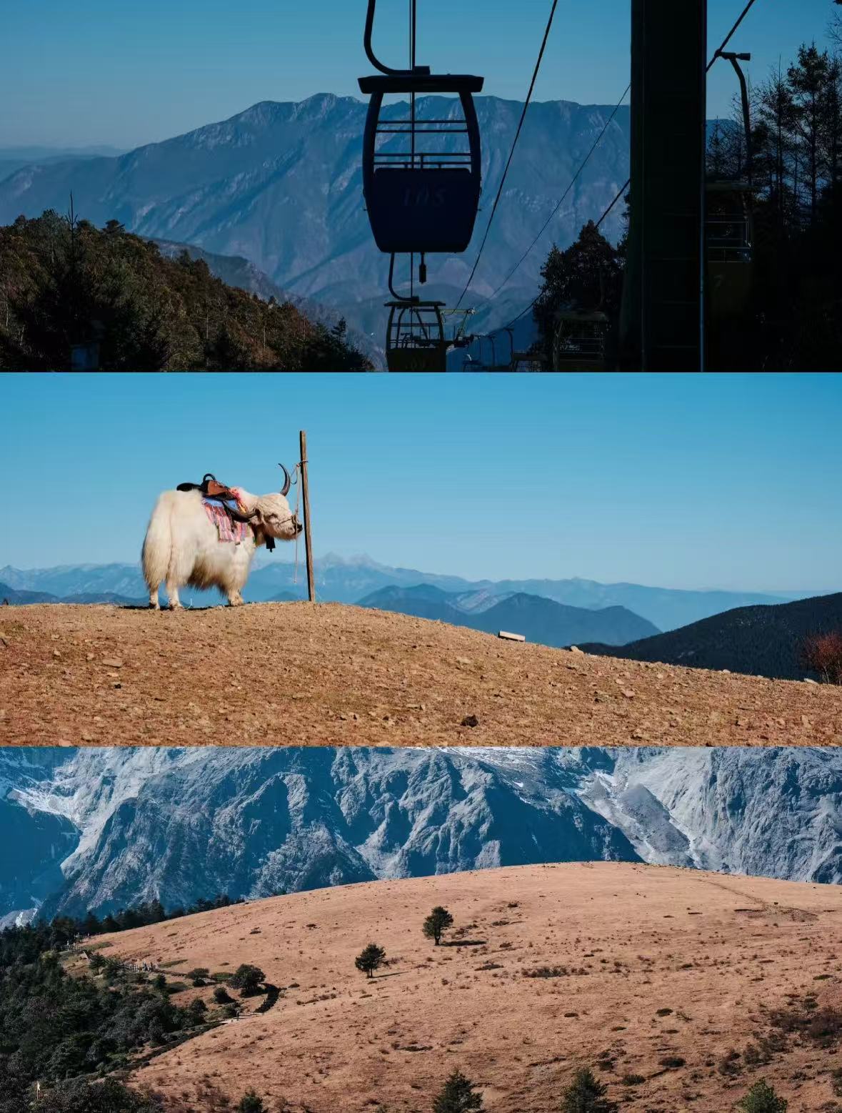 微信图片_20251029163325_64_1