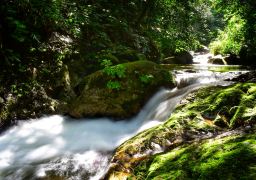travel picture