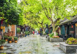 travel picture