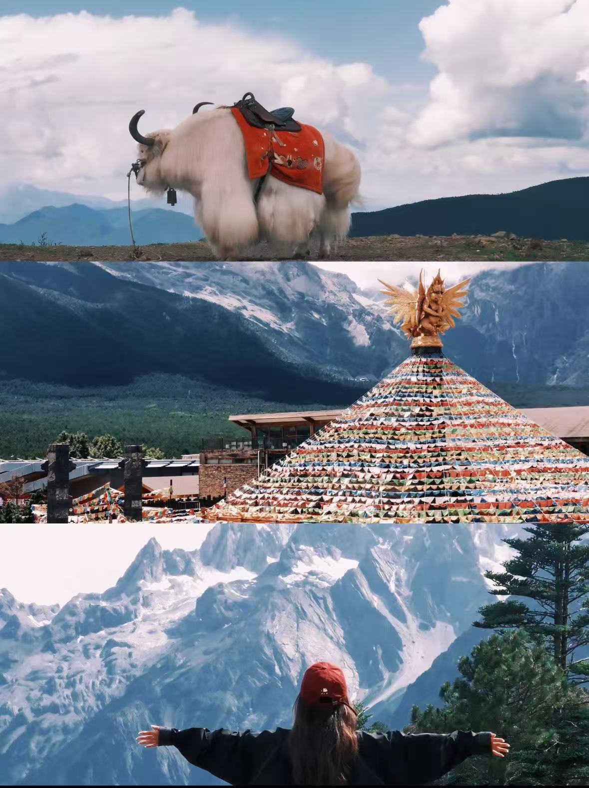 微信图片_20251029163337_65_1