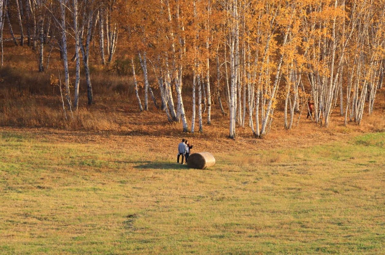 qq_pic_merged_1761719242192