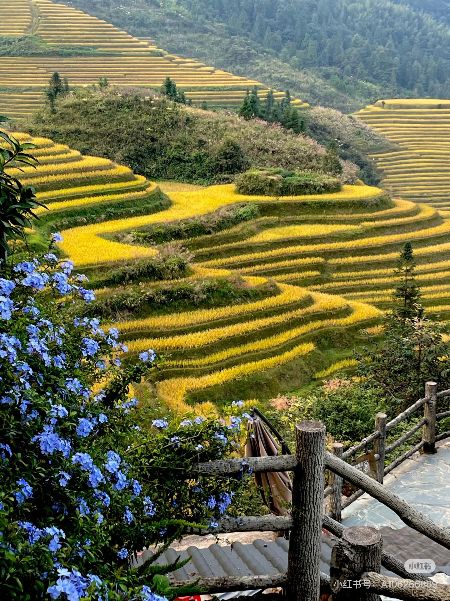 9261EE2131F1BD7D15E6AF9473B54339