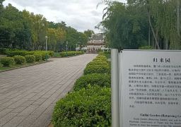 travel picture