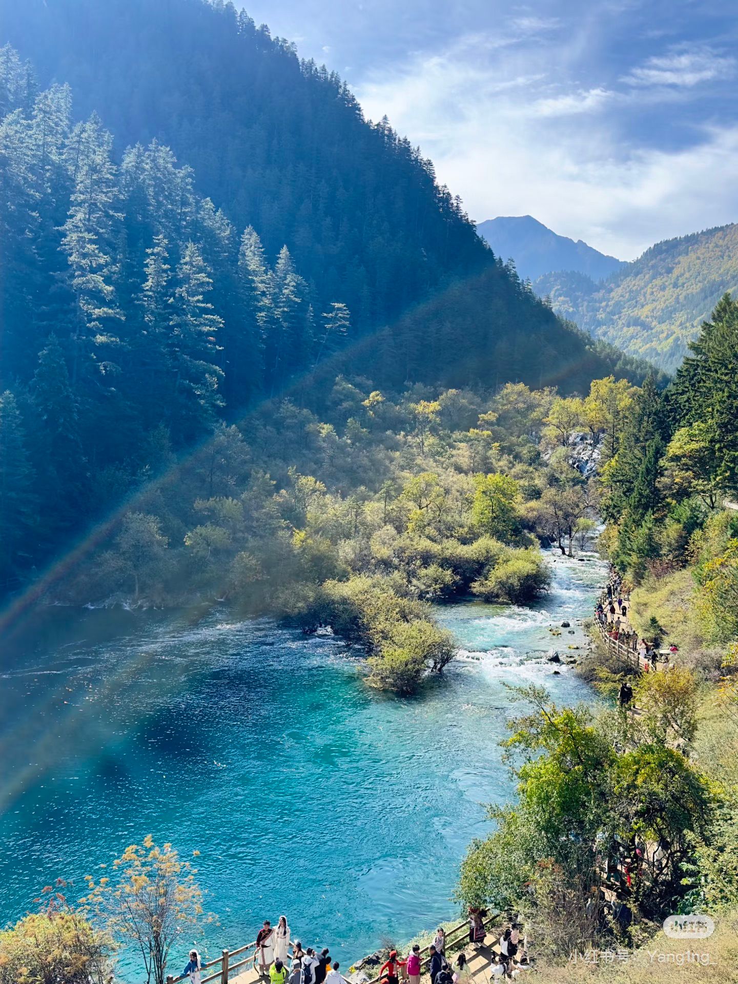 423F2041E36B10D106AE108D5A111C75