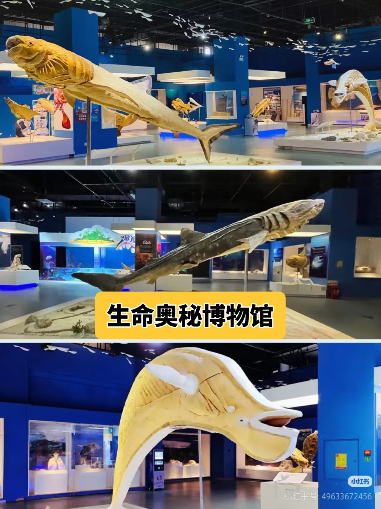 8ae599903e9574ba6aca13c3f9b9e5f2