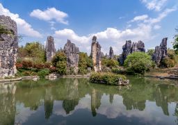 travel picture