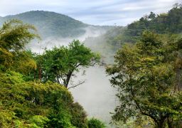 travel picture