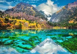 travel picture