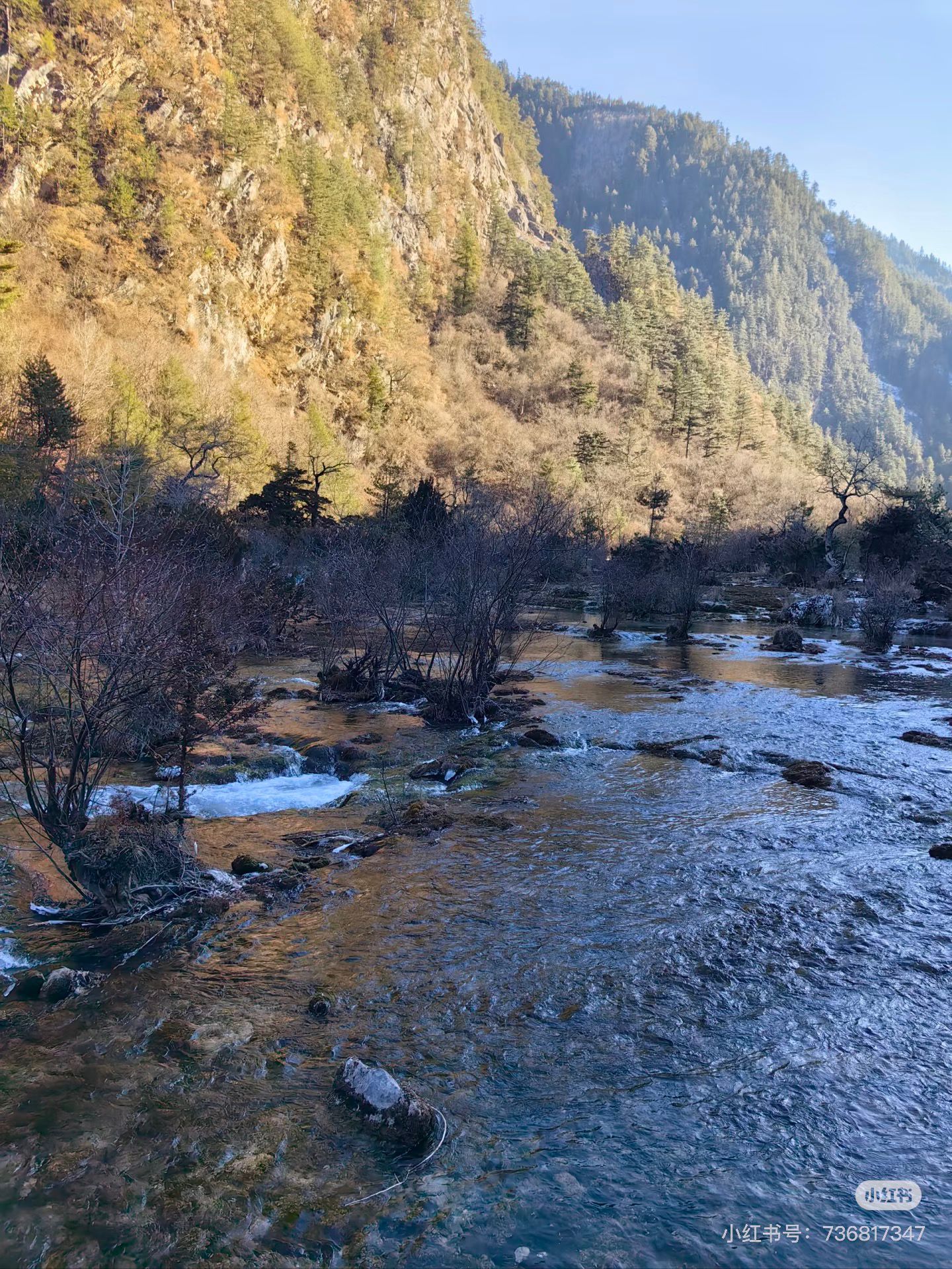 CAAD59661EB73A377CA0BA4DE63326ED