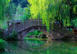 travel picture