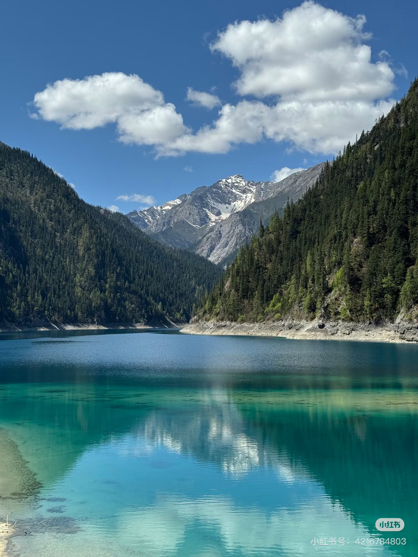 145A6FD61DB556D686529E50DF289F8F