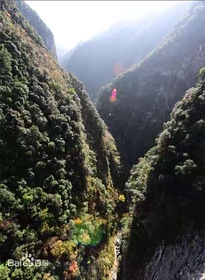 8700d52259ff0ffd889da3e7da954b40