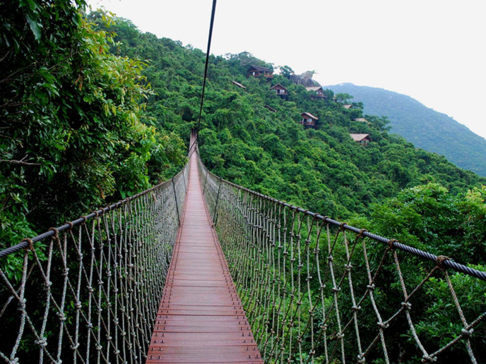 350u180000013lev75F35_C_1600_1200