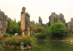 travel picture