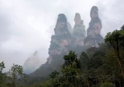 travel picture