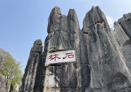 travel picture
