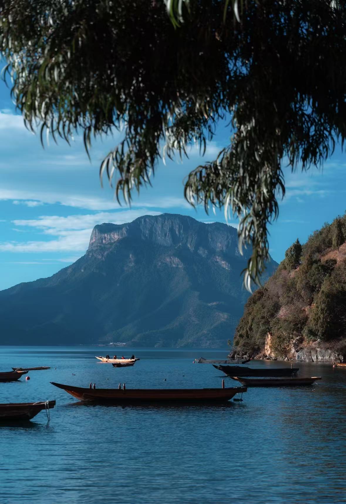 微信图片_20251029144540_13_1