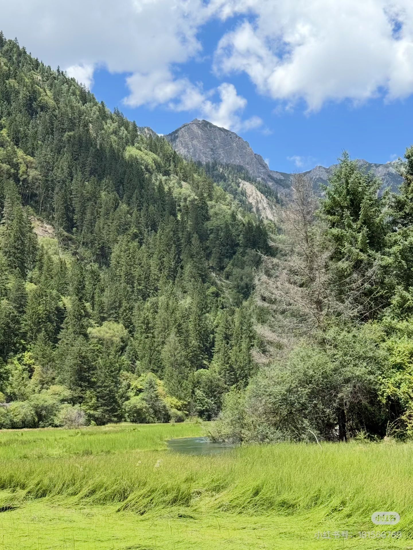 58D358D9F22E86633FE771CF535FE2F7