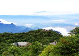 travel picture