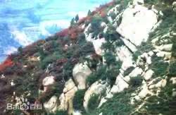 019067f62a1f149a678ad3a9858ec4c1