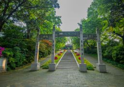 travel picture