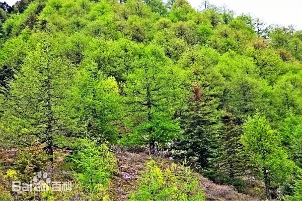 4e6b9085a2bbc2311b2584f1364bea1f