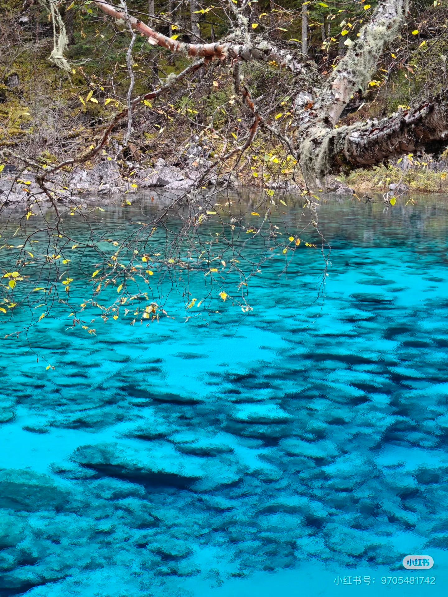 C12167DF8B77F629E826F1995BEBE530