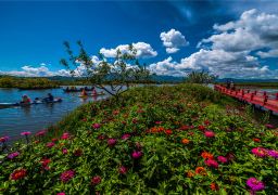 travel picture