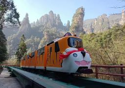 travel picture