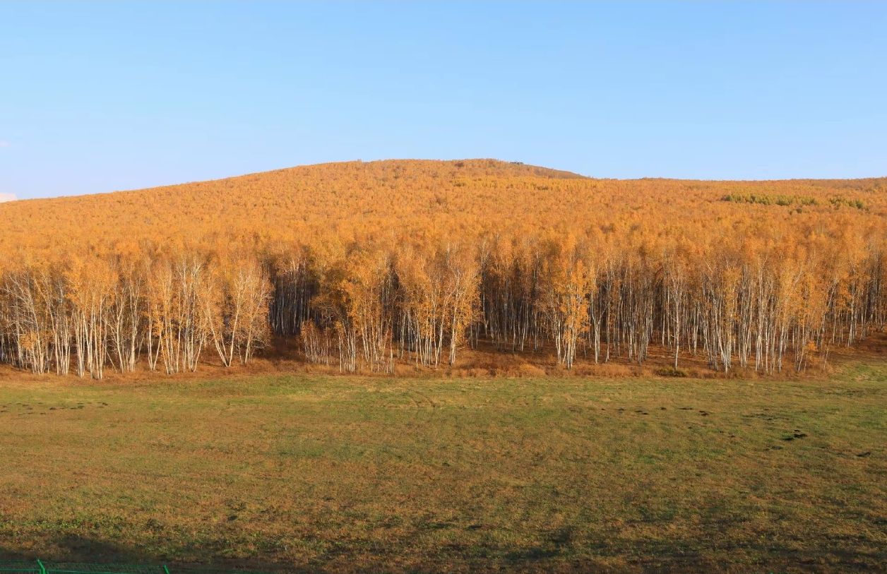 qq_pic_merged_1761719254707