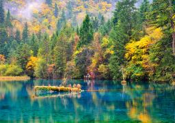 travel picture