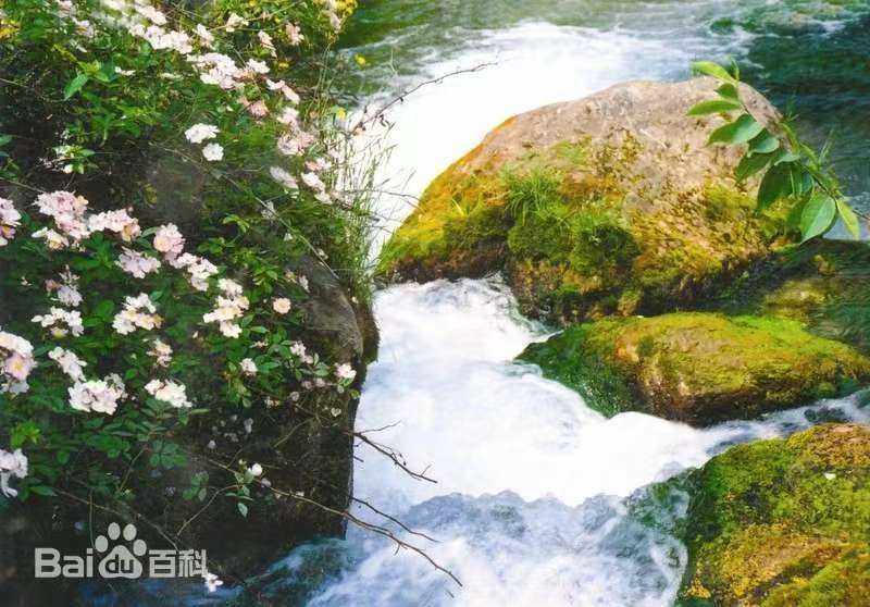 69ef9c533cfca3c44a7e30135951ba5e